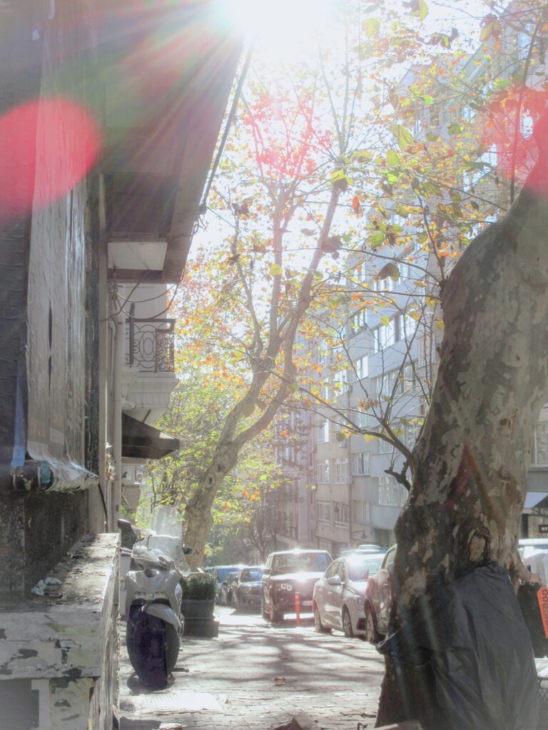 しーつ！　good morning ghost が遊んでる～～♪