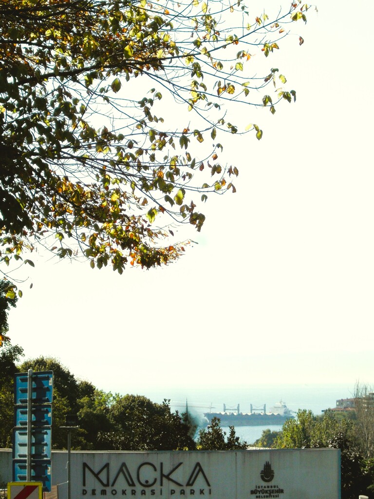 海峡を往く船…　ウクライナの穀物船かも…