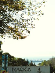 海峡を往く船…　ウクライナの穀物船かも…