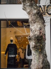 行き詰まり…　春なのに…