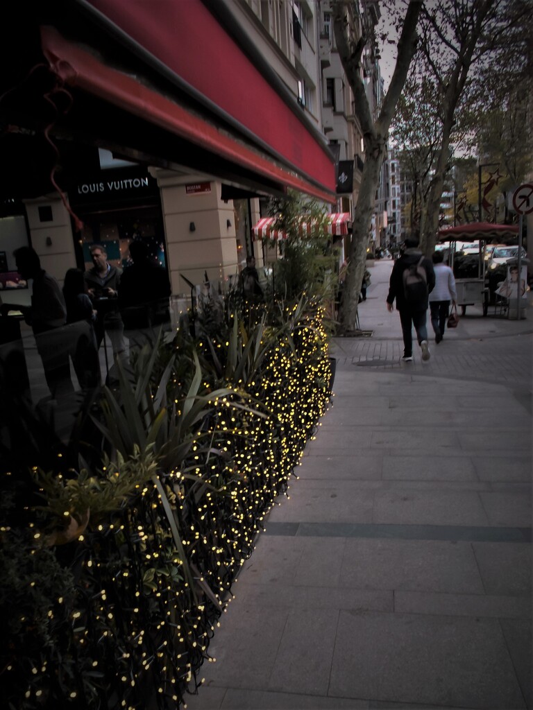 Twinkle Twinkle Little Star～～✨