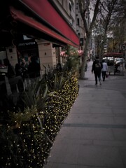 Twinkle Twinkle Little Star～～✨