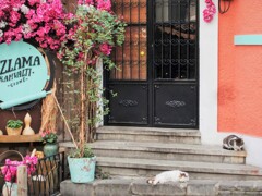 昼下がり～うらうら～～♪