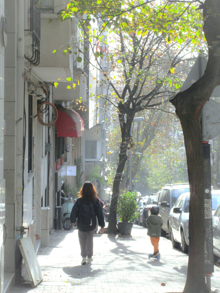 柔らかな朝～♪