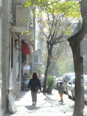 柔らかな朝～♪