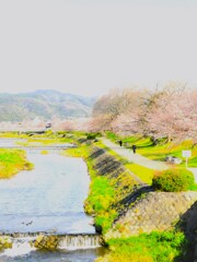 京都…と言えば鴨川…