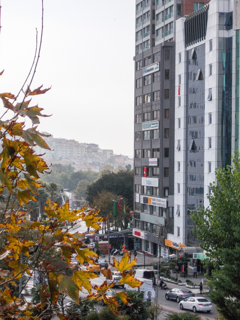 秋の朝　薄霧の中～