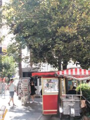 こんな光いっぱいの夏の朝も…もうあと…