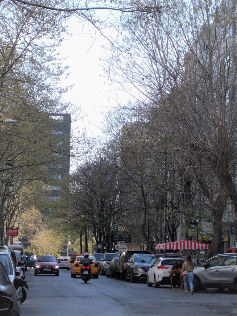 赤が似合う通りの朝～