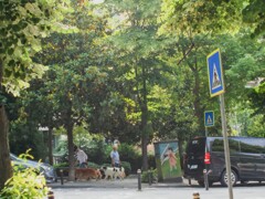 緑が…　萌える~☆燃える~☆～