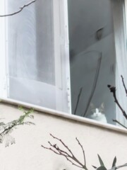 箱入り娘のふわふわちゃん～～