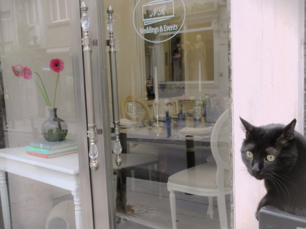 黒たんの恋…♡