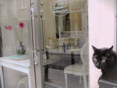 黒たんの恋…♡