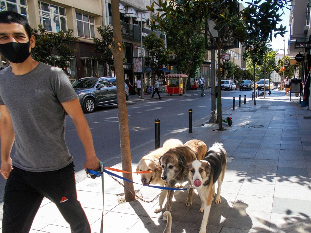 ワンちゃん達の朝～