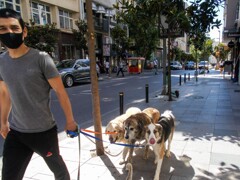 ワンちゃん達の朝～