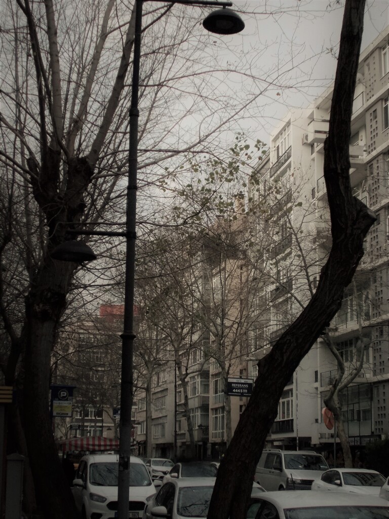 雪雲が大雪を運んでくるそう。。。.。o○⁂