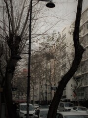 雪雲が大雪を運んでくるそう。。。.。o○⁂