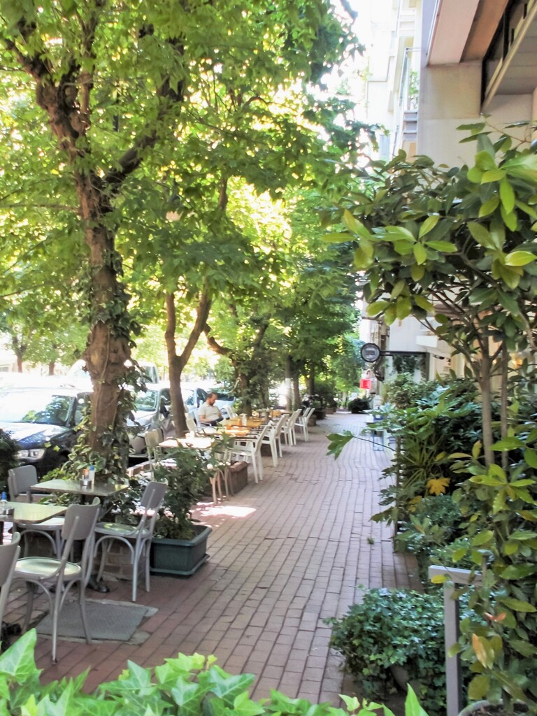 住宅街の中のカフェの朝～新緑の中～✨