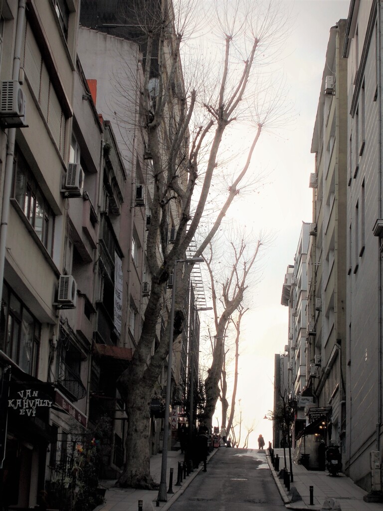 凍て風に晒されて～～