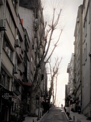 凍て風に晒されて～～