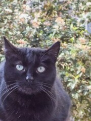 黒おじタンの春のある朝～☆