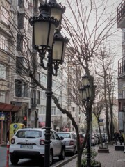 冬の散歩道～～♪