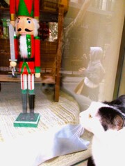 僕のクリスマスは～～★♪