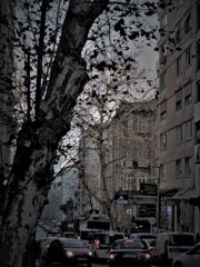 １日の終わり～感謝～