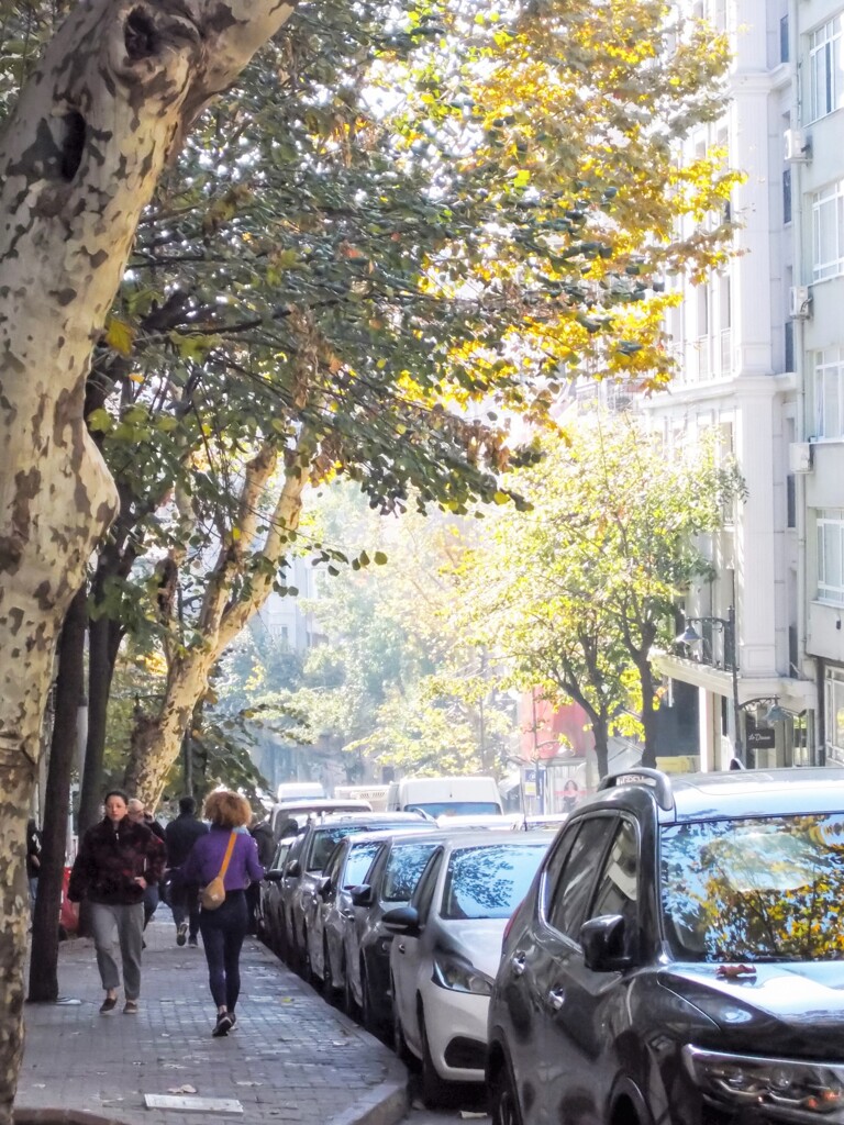 きっと…ずーっと向こうに～～