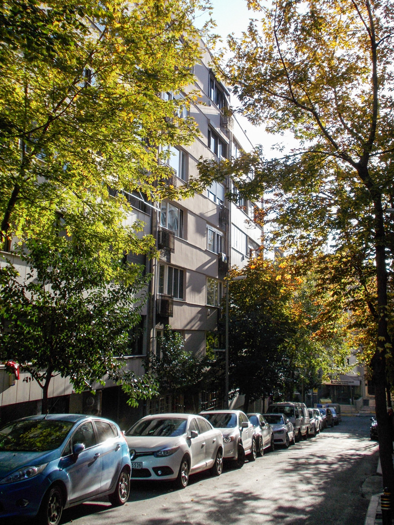 お行儀のいい住宅地～