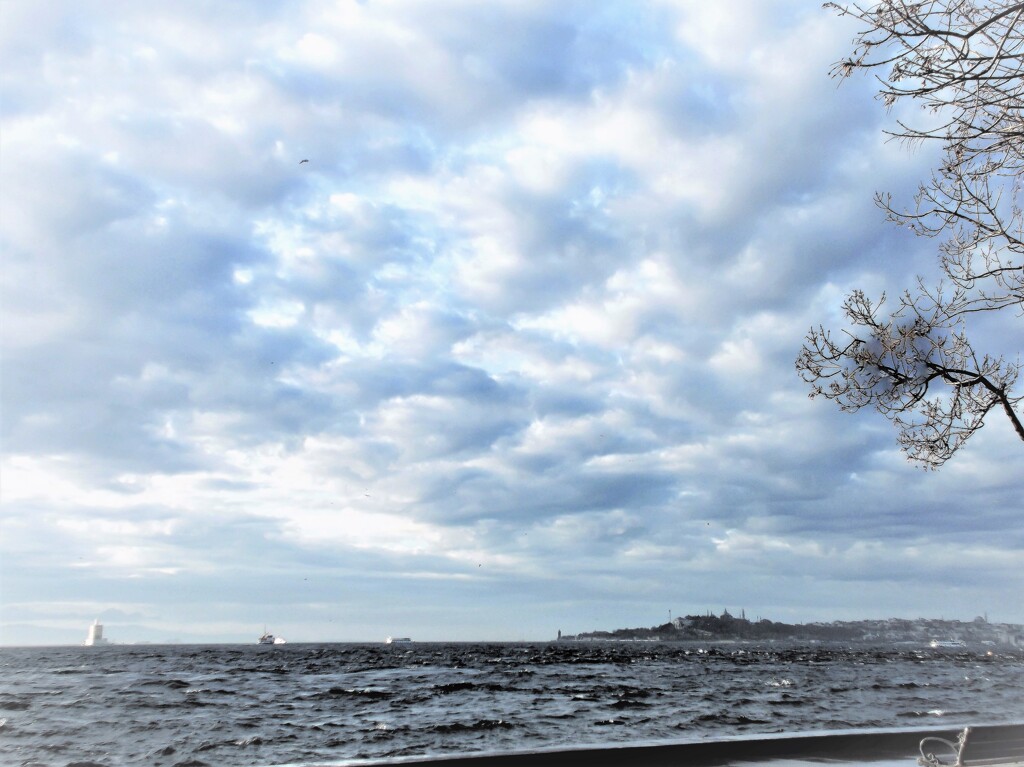 ボスポラス　冬麗～～