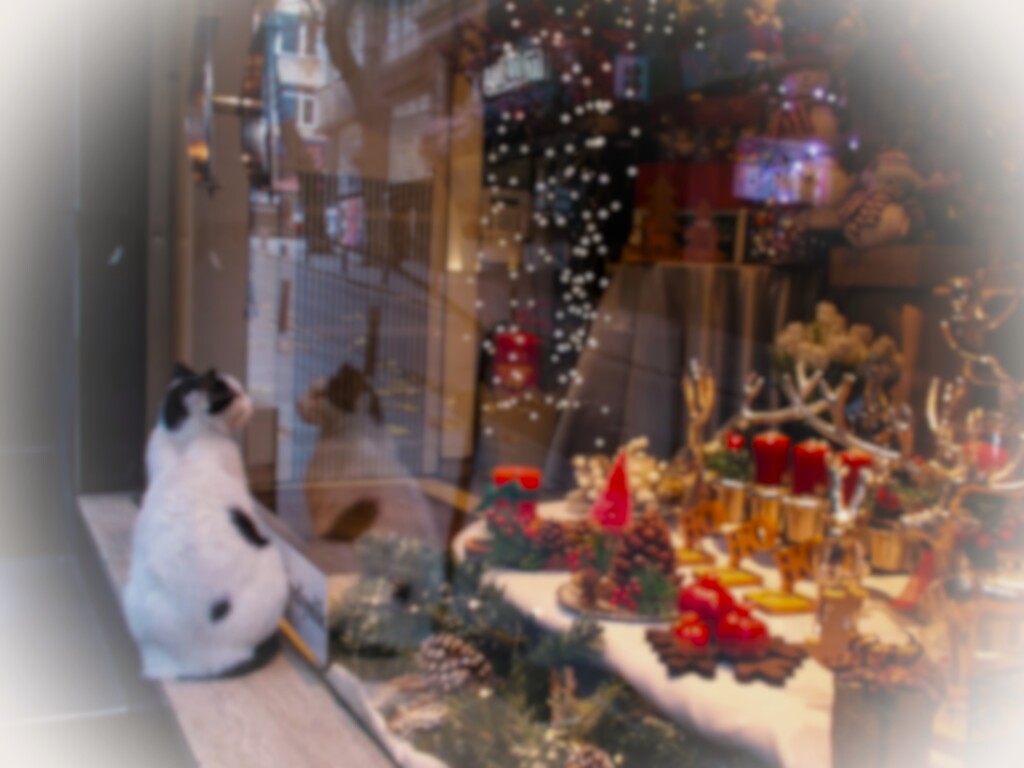 Let's have a very merry Christmas～♪♡