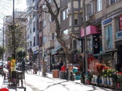 早春の朝陽の下で～～