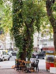 屋外カフェも　もうおしまい…