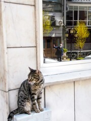 何してきたの？　おじちゃん追っかけてきた！