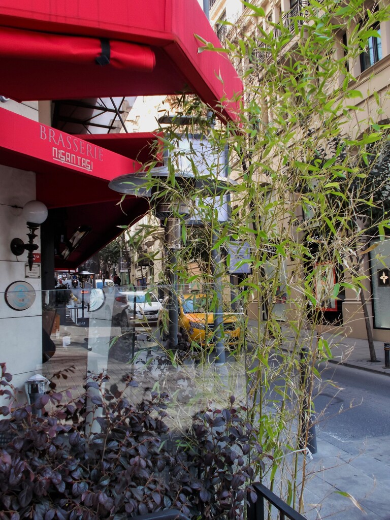 カフェもリオープン～♪