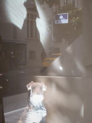 陰の仕切り役・・・