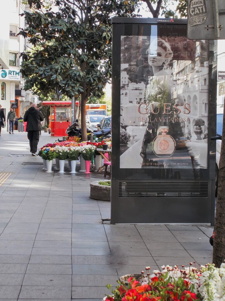 ノスタルジー～～