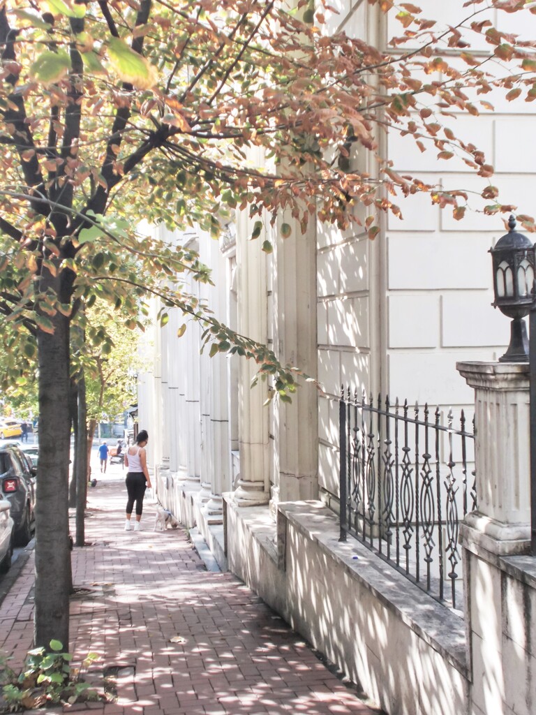 夢花火～✶　夏が終わろうとしている～