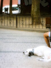 でんでん虫　むし～♪　っぽい犬～♪