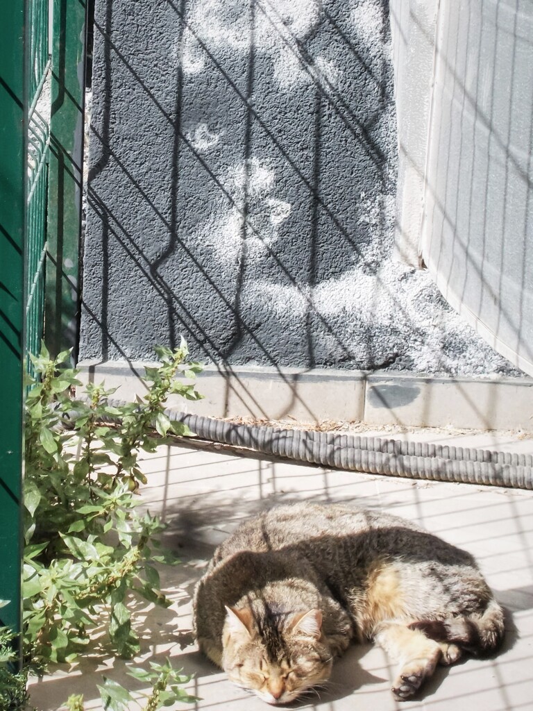 朝帰り～.。o○