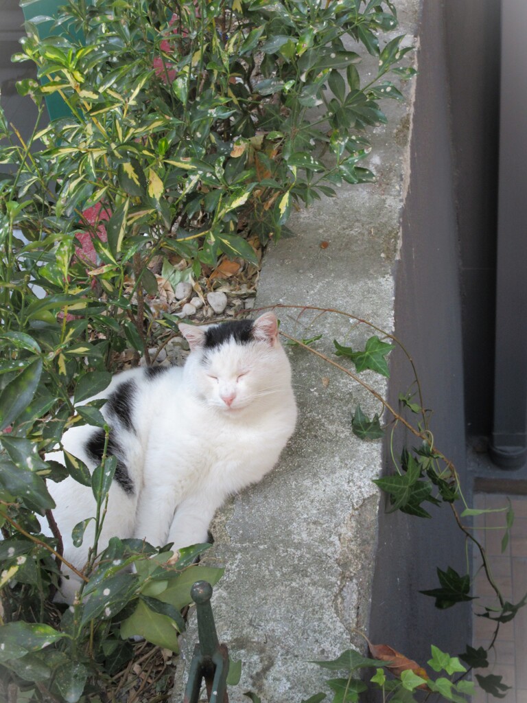 朝は…眠い…眠みゅ～～い.。o○