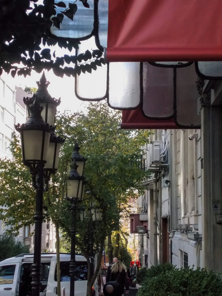 北風の中～紅が暖かかった～