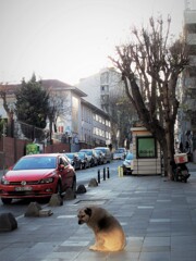 差別…とか偏り…とか～