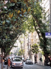 大通り～　今はトルコ人の５倍くらいの観光客が～