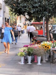 向日葵みたいな人～もうすぐお母さんね～～♡♪