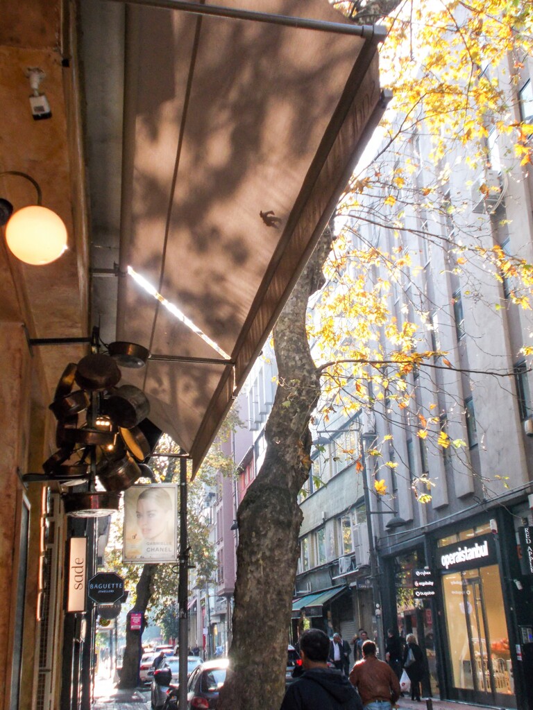 秋のある朝　09：05～