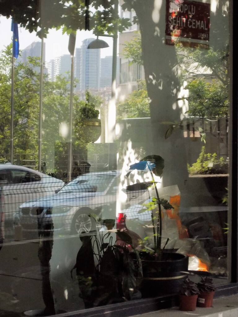 昨日＋今日＋明日＝✨