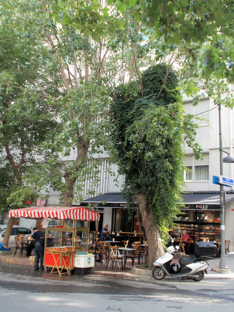 朝のひと時～～☆