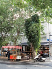 朝のひと時～～☆